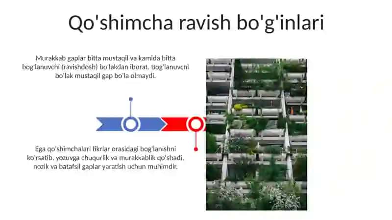 Murakkab qo'shma gaplar 3