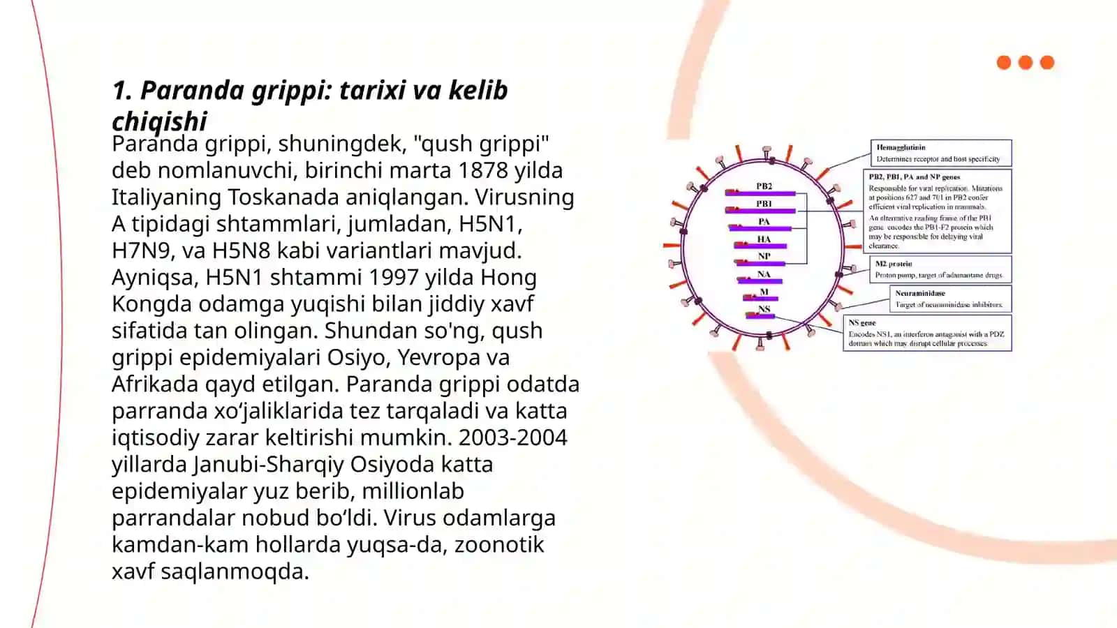 Paranda va cho'chqa grippi va uning hozirgi kundagi muommolar 3