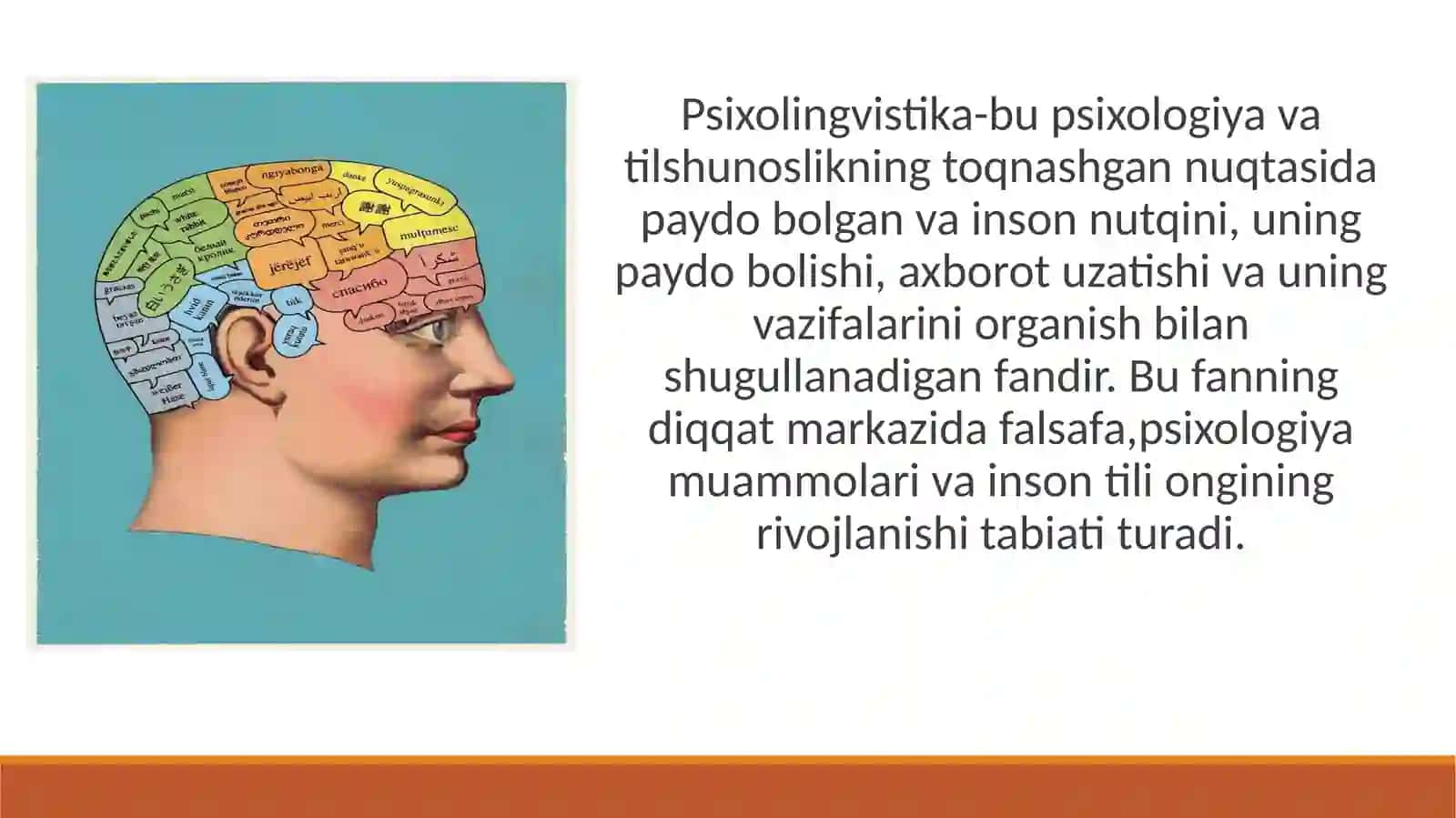 Psixolingvistika 3