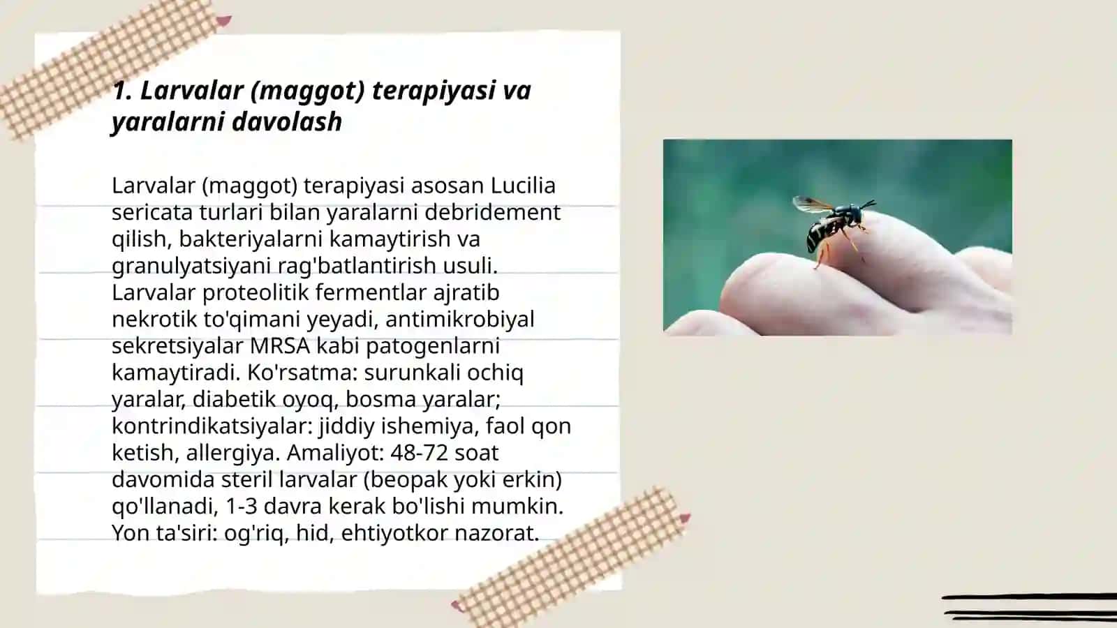 Hasharotlarning tibbiyotda qo'llanilishi 3