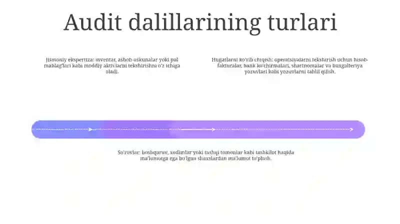 Auditorlik Dalillari 3