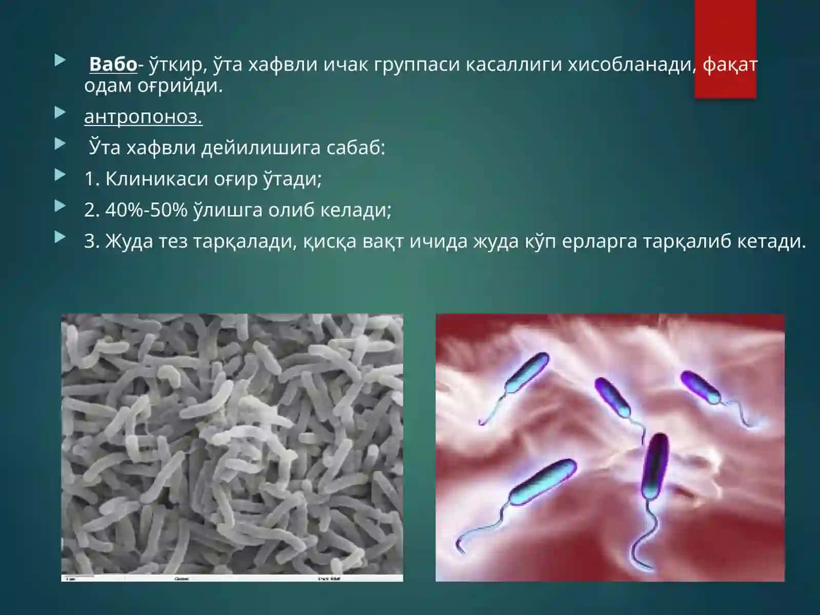 MIKROBIOLOGIYA FANIDA NANOTEXNOLOGIYA QO’LLANISHI 3