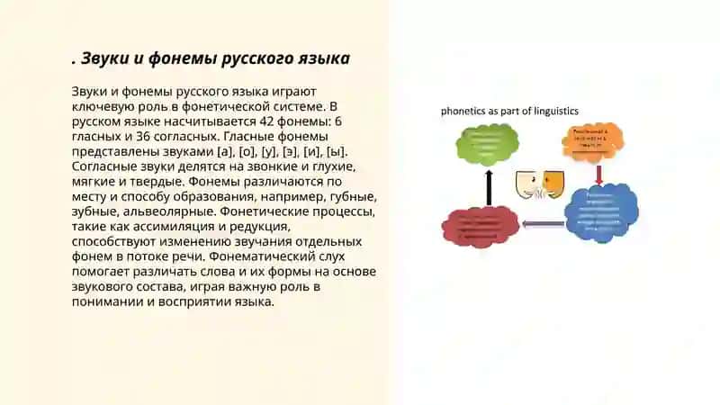 Звуки и фонемы русского языка 3