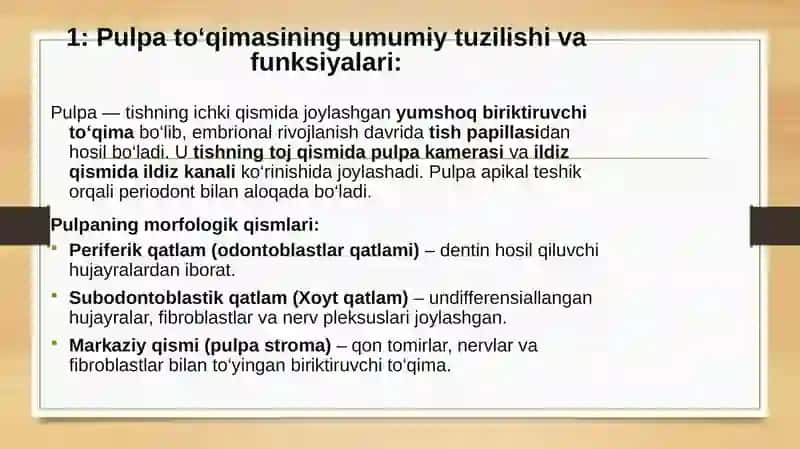 Pulpa to‘qimasining hujayraviy tuzilishi 3