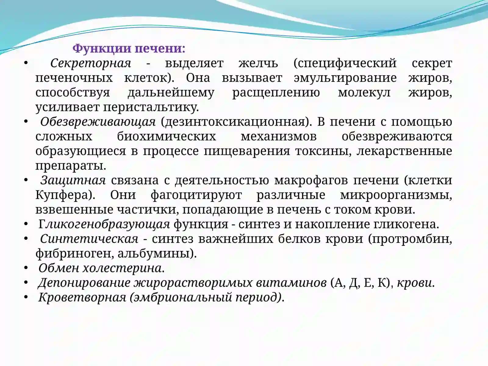 Печень 3