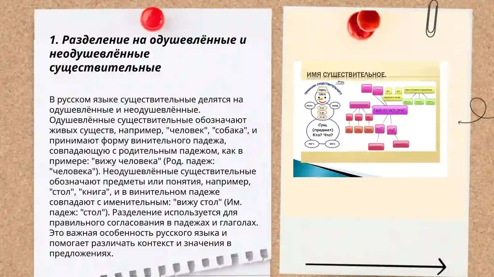 Разделение на одушевлённые и неодушевлённые существительные 3