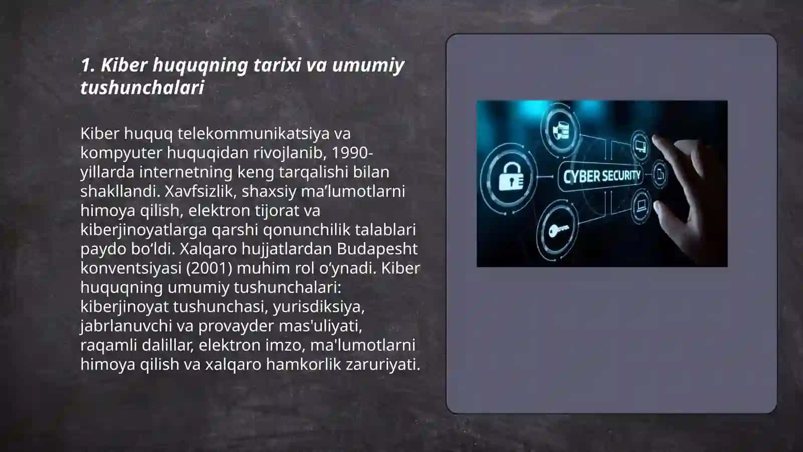 Kiber huquqning ahamiyati va xalqaro meyorlar 3