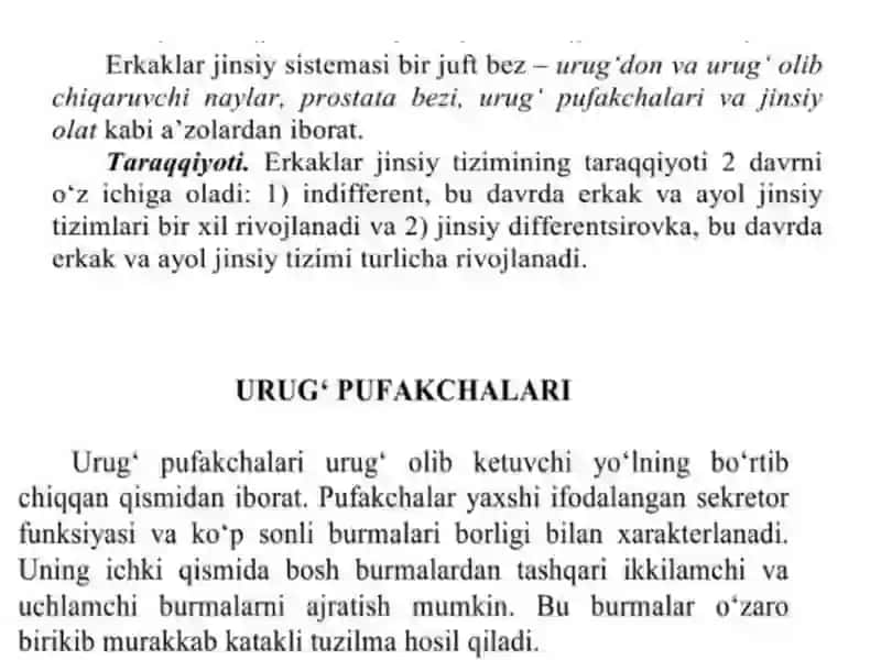 Erkaklar jinsiys sistema g'istalogiyasi 3