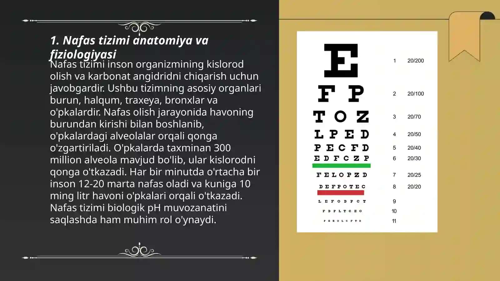 Nafas tizimining yosh xususiyatlari va gigenasi 3