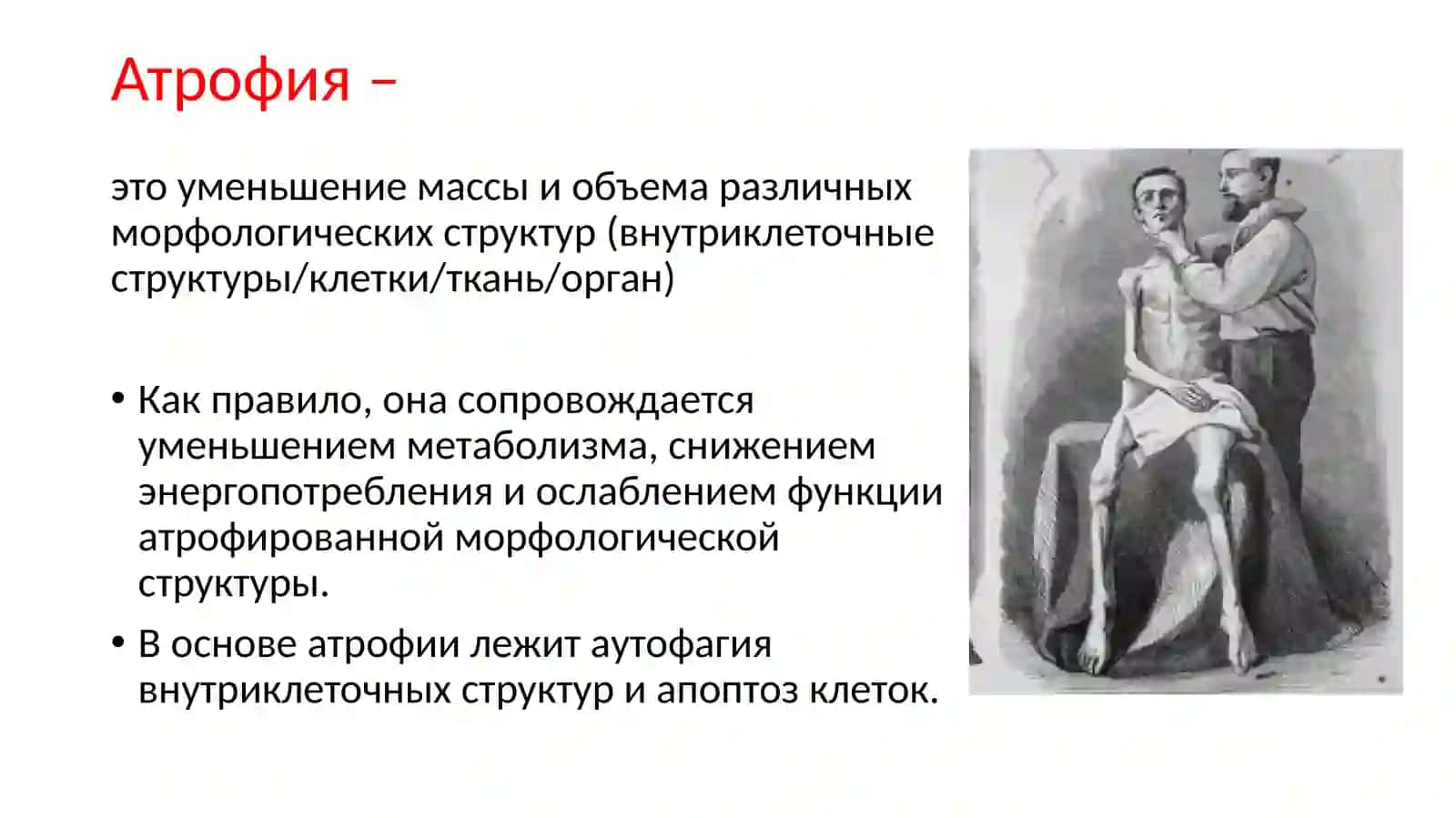 Процессы адаптации 3