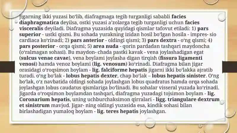 Jigar meʼda osti bezi, tuzilishi, topgrafiya shakli 3