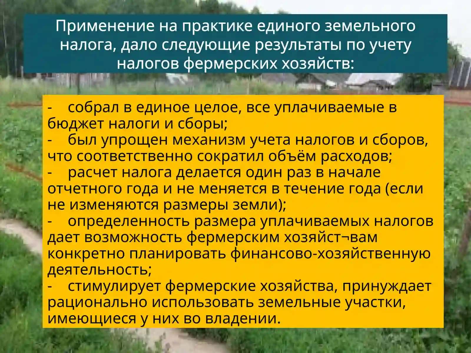 Единый земельный налог 3