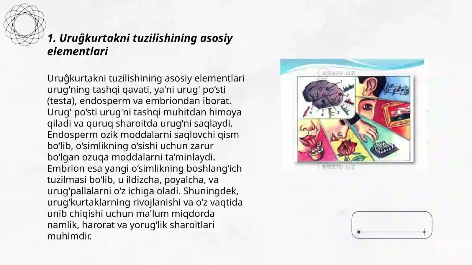 Uruĝkurtakni tuzilishi va tiplari 3