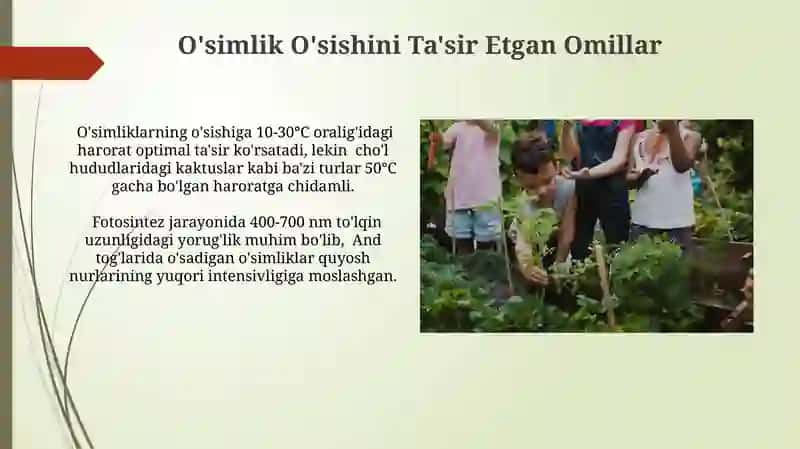 O'simliklar turli sharoita oʻstrib oʻrganamiz 3