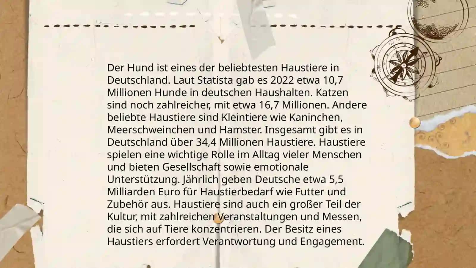 Mein Lieblingshaustier 3