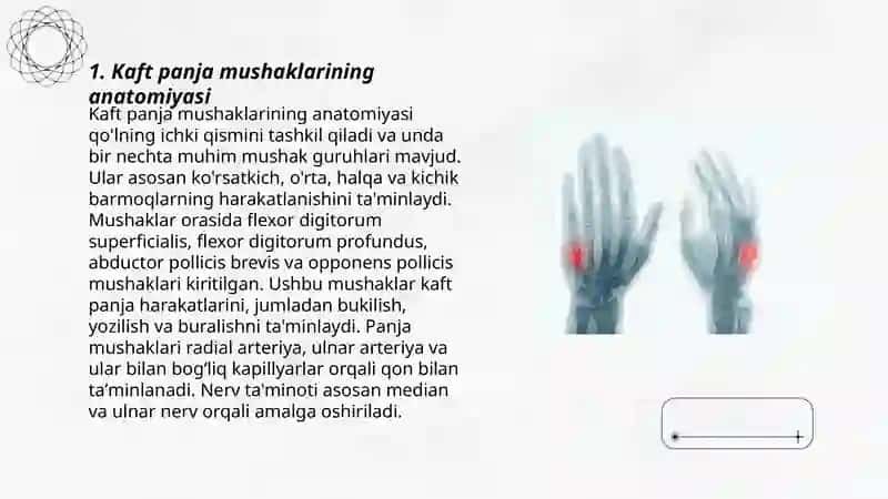 Kaft panja mushaklari 3