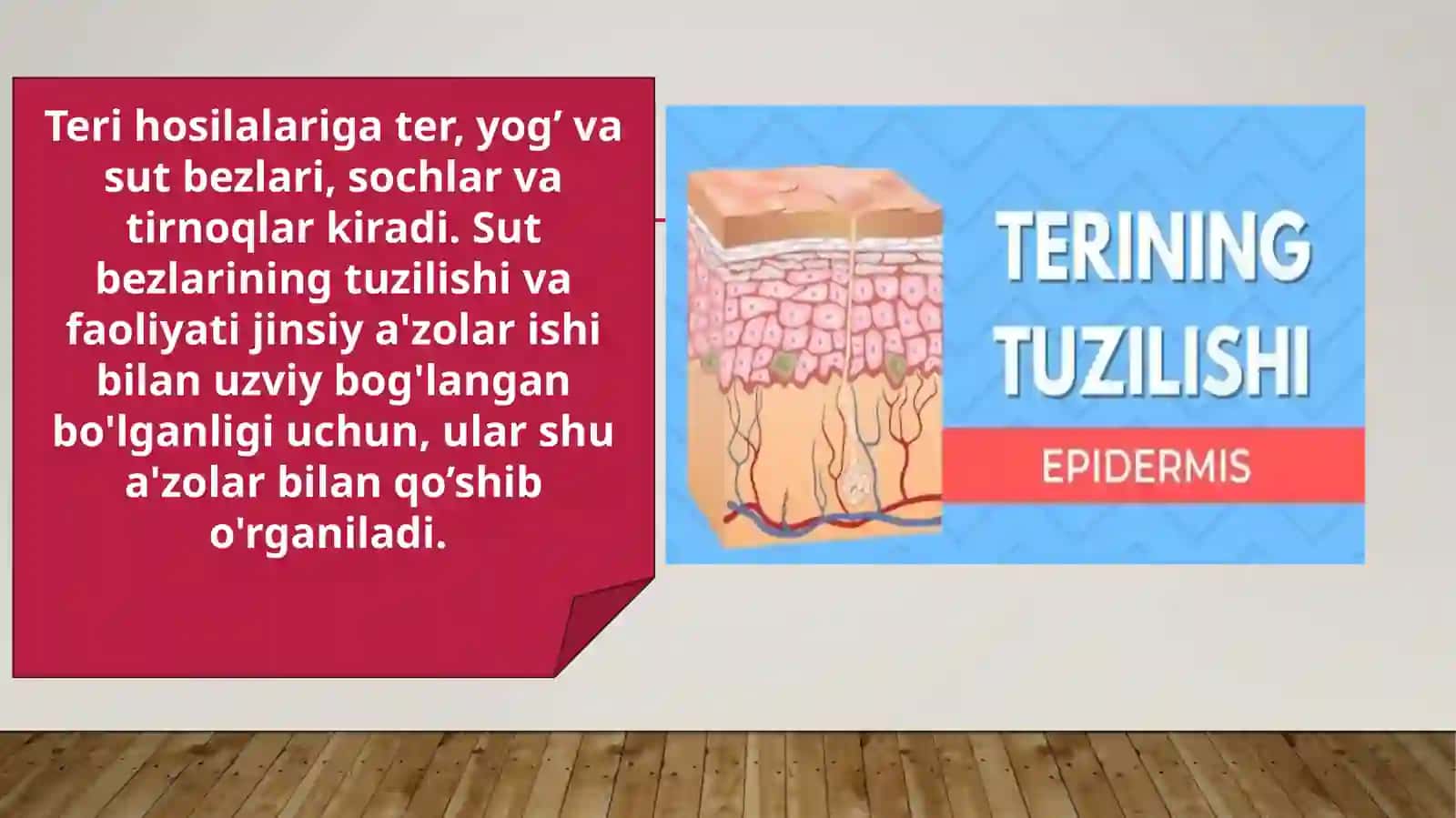 Terivauning ho Silalari 3