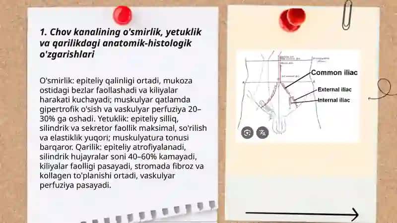 Chov kanalining yosh va jinsga nisbatan xususiyatlari tlar, ichki va tashqi faktorlarni chov churralari va rivojlanish nuqsonlarini hosil bolishiga tasiri 3
