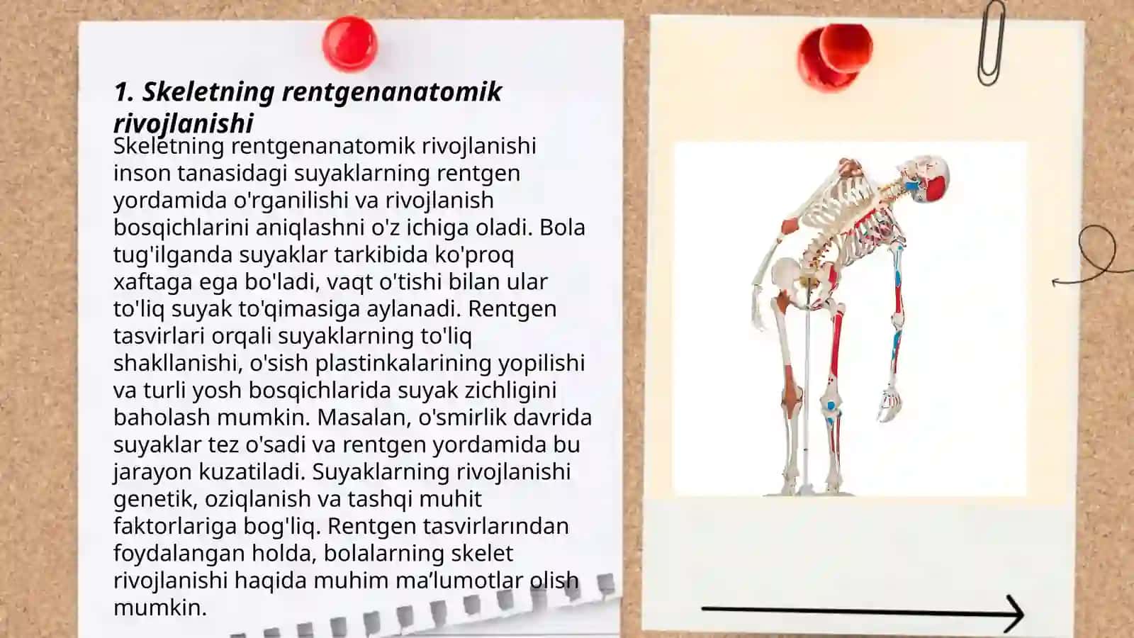 Skelet suyaklarining rentgenanatomiyasi 3
