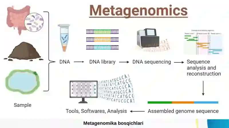 Metagenomika usullari, Metatranskriptomika va metaproteomika bilan bog‘liqligi 3