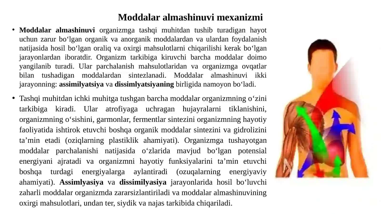 Modda va energiya almashinuv fiziologiyasi 3