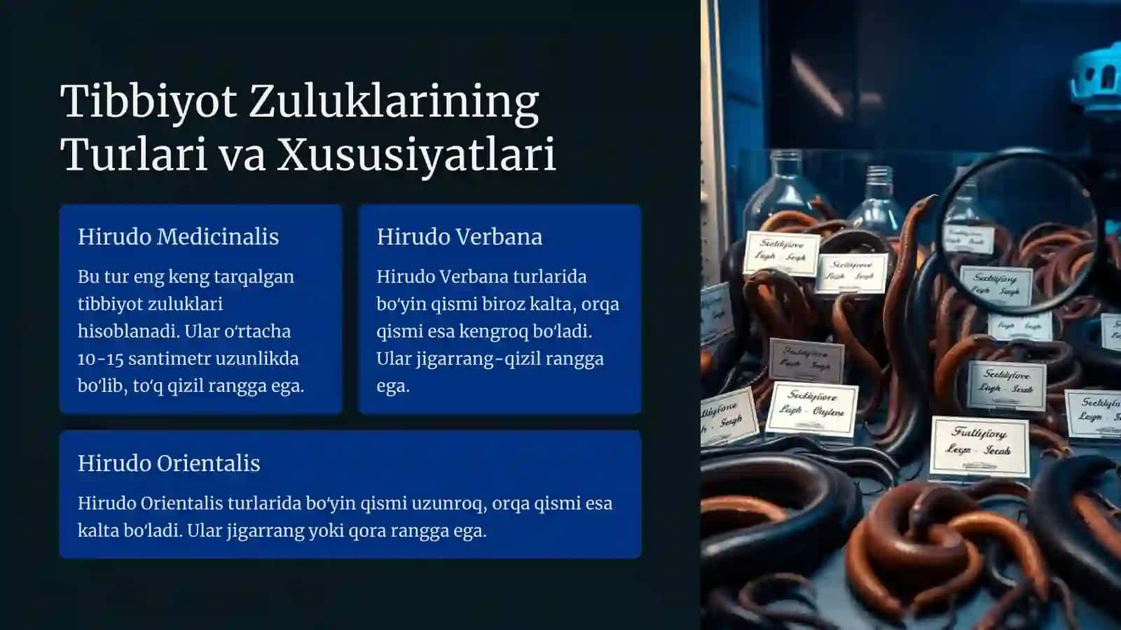 Tibbiyot Zuluklari: Axamiyati va Saqlash Talablari 3