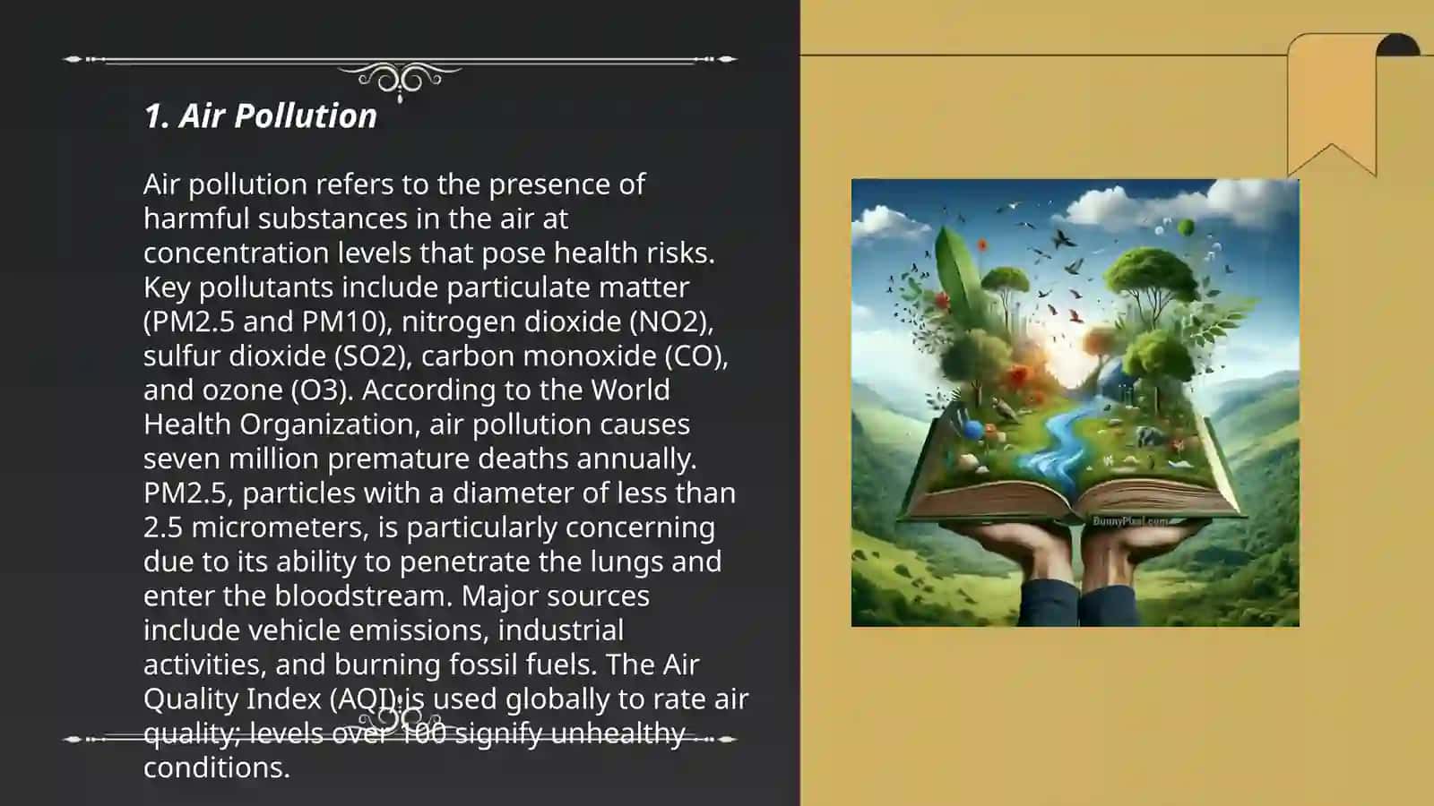 Air Pollution 3