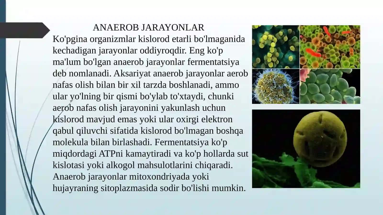 Anerobjarayonlar orqali energiya ishlab chiqarilishi 3