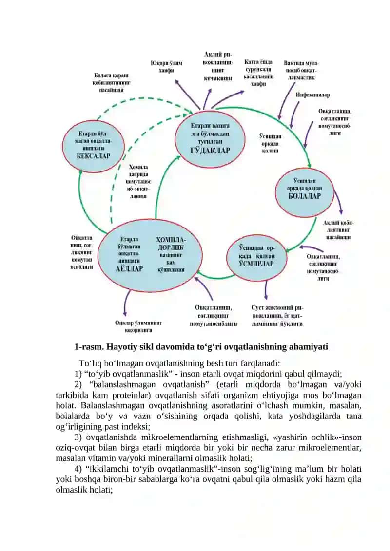 Oziq-ovqat xavfsizligi va me’yoriy ovqatlanishning tabiiy-iqtisodiy asoslari 3