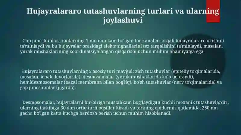 Hujayraaro aloqalar tuzilishi va ishlashi 3