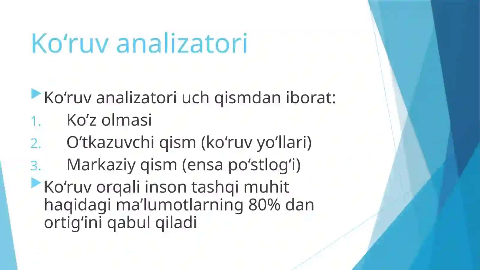 KO‘RUV A’ZOSI: KLINIK ANATOMIYASI VA FUNKSIYASI 3