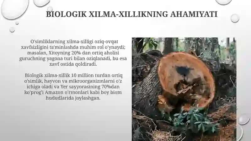 Biyalogik xilma xillikni qisqarishi 3