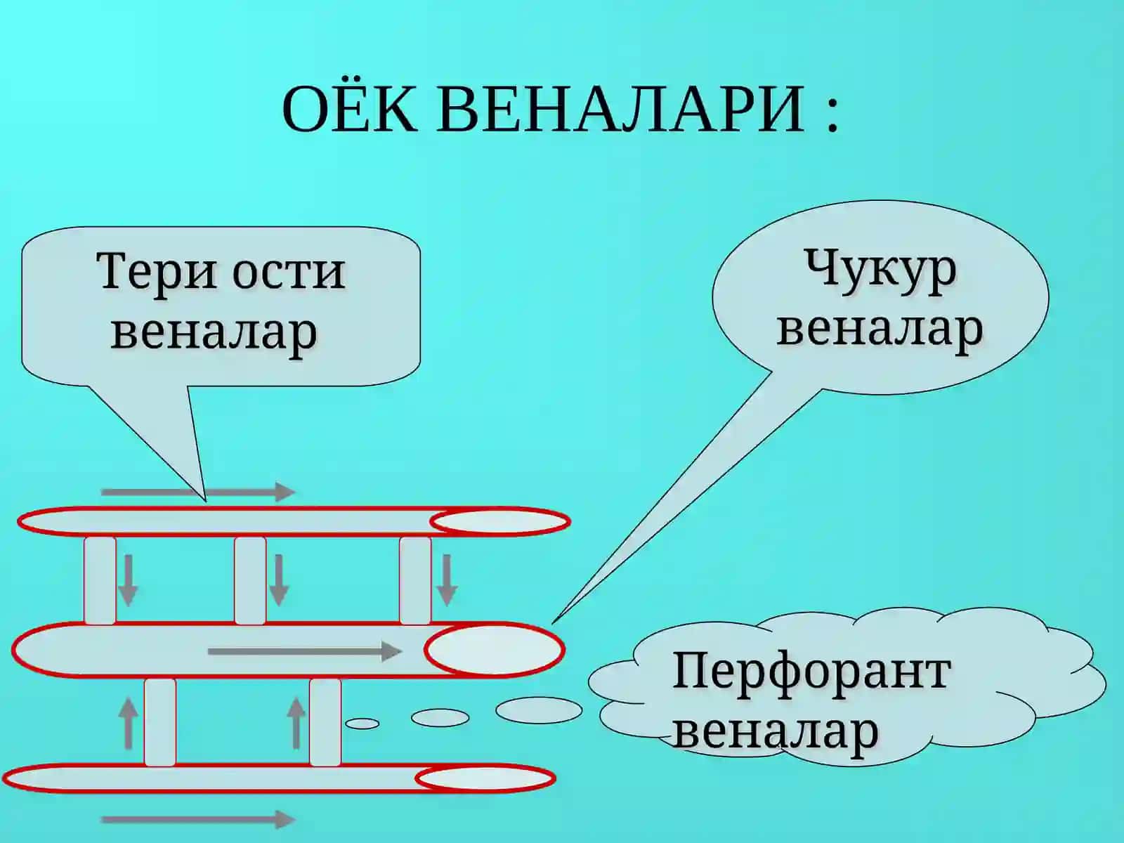 Оёқвеналаринингварикоз касаллиги 3