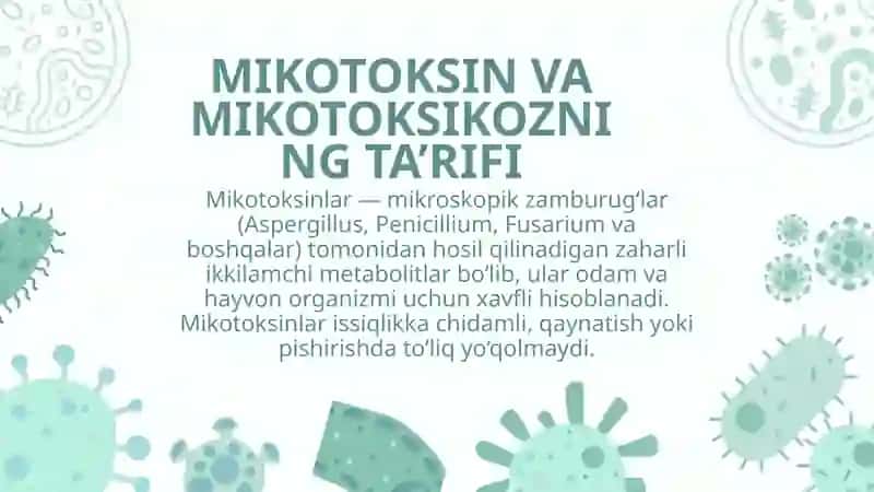 MIKOTOKSIKOZLAR QOZGʻATUVCHILARI 3