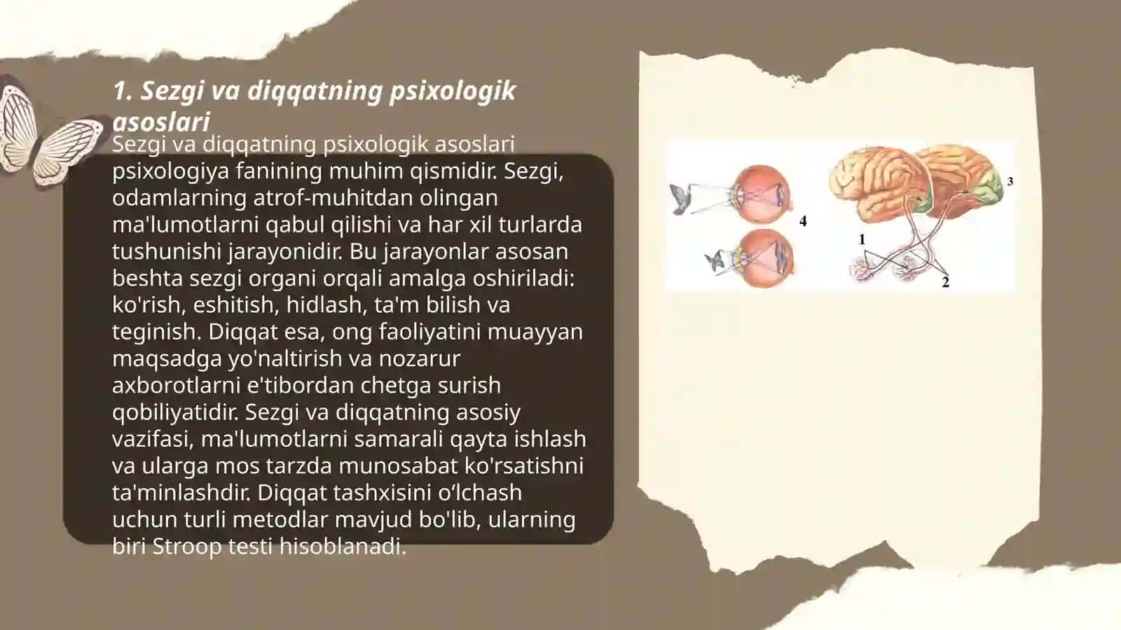 Sezgi va diqqatning psixologik asoslari 3