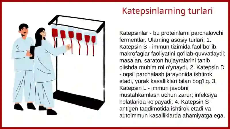 Katepsinlar 3