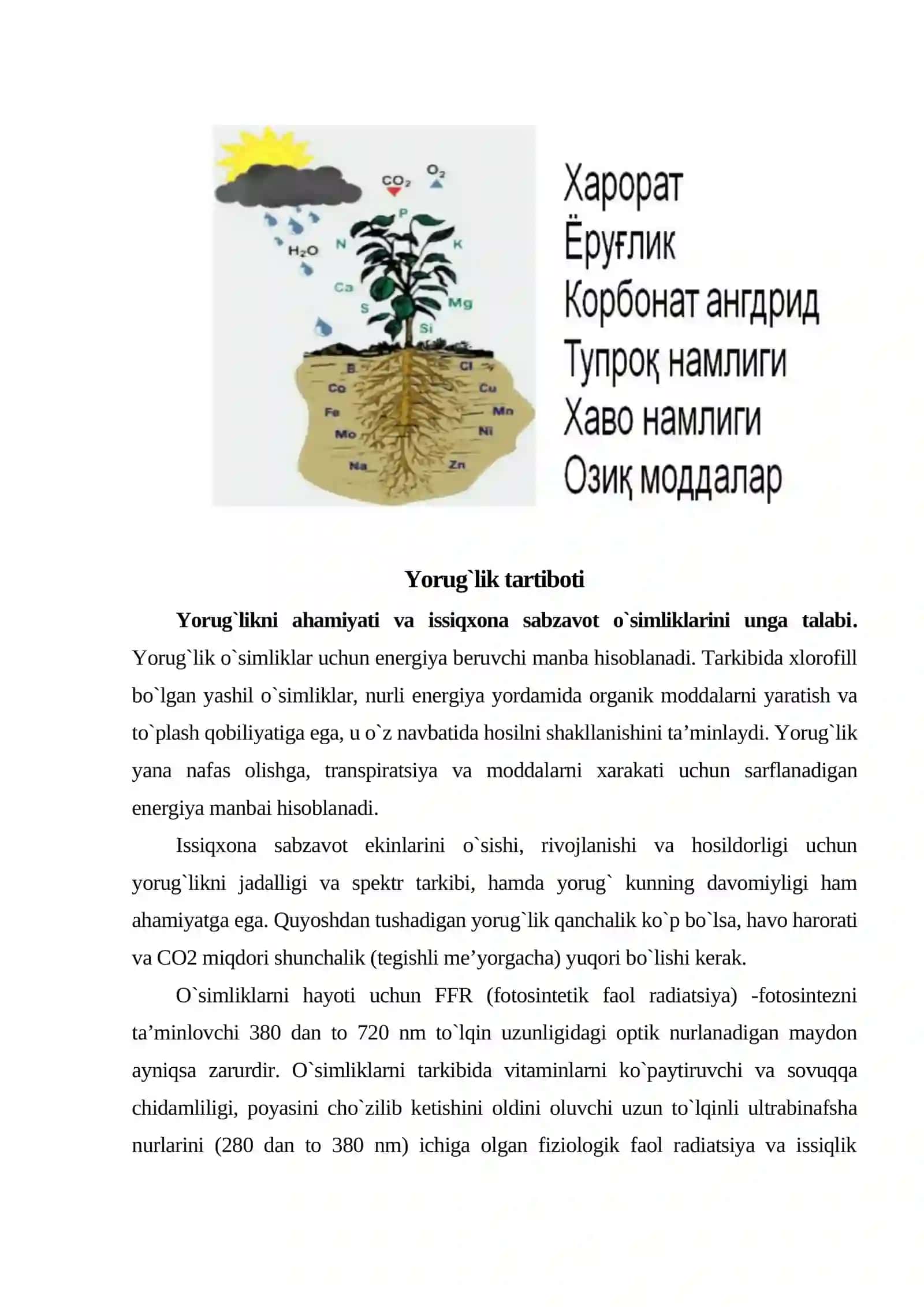 Yorug`lik tartiboti 3