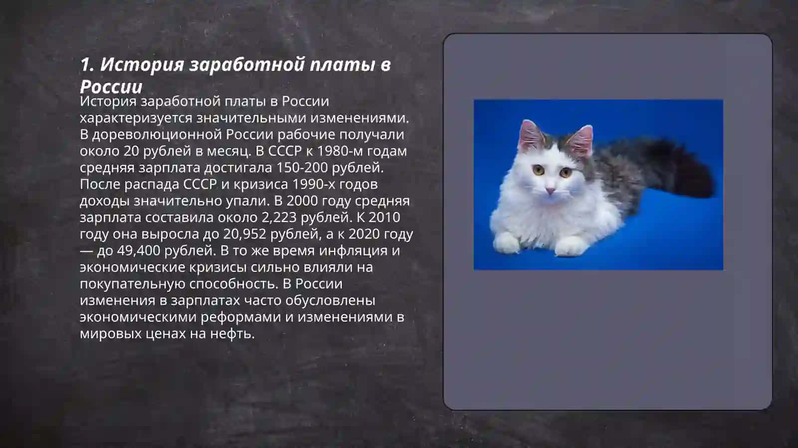 Заработная плата и трудовые отношения 3