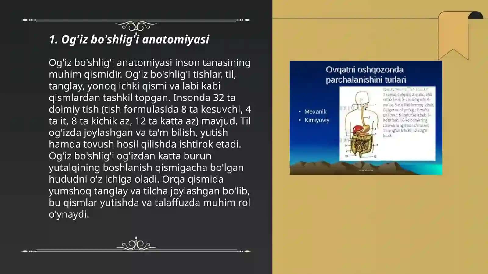 1-3 yoshli bolalarning ovqat hazm qilish sistemasi organlari anatomiyasi va fizialogiyasi 3