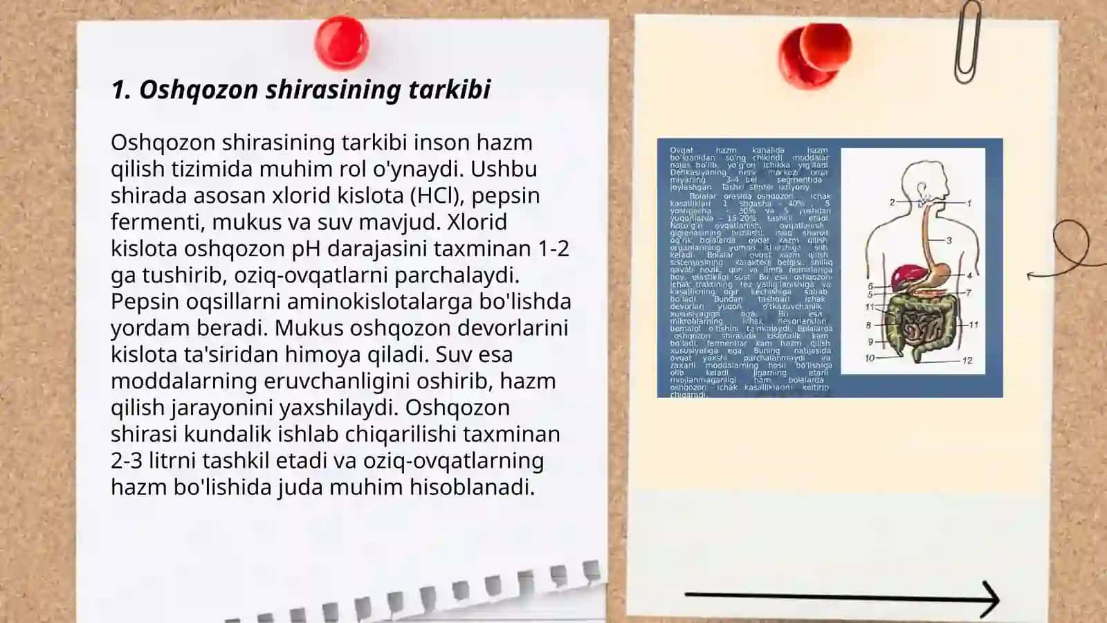 Oshqozon shirasini interpretatsiyasi 3