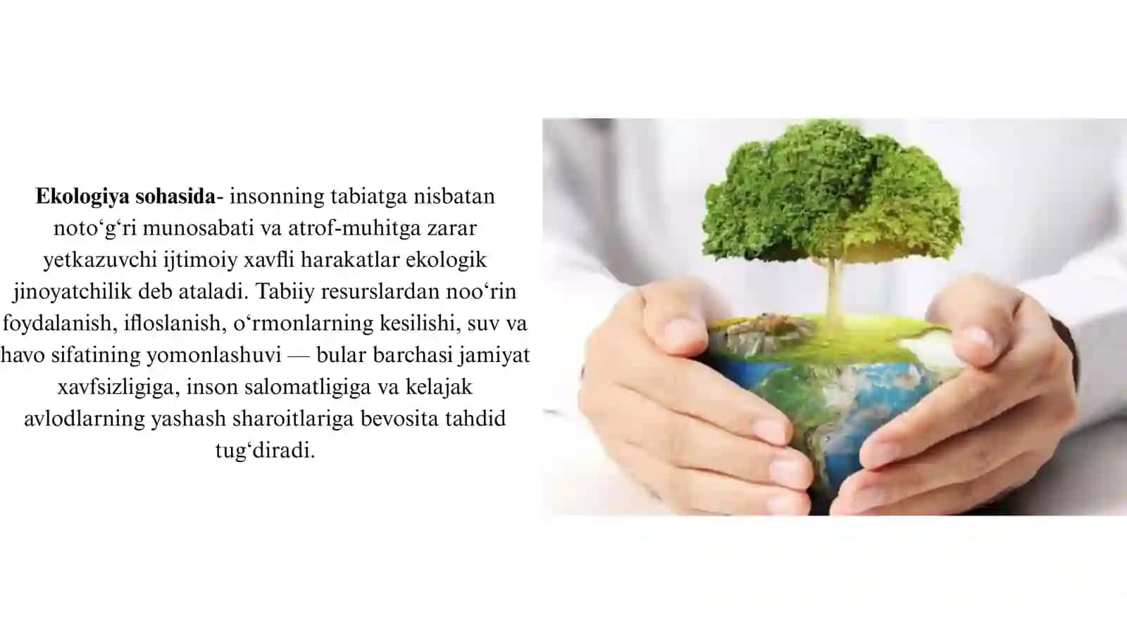 Ekologiya sohasidagi jinoyatchilikning kriminologik tavsifi va oldini olish 3