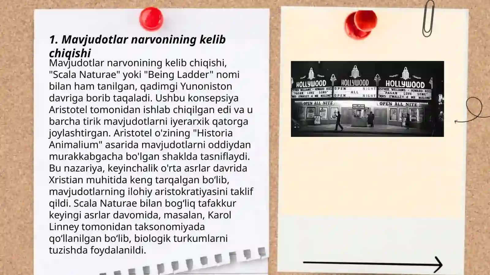 Mavjudotlar narvoni joylanish nazariyasi haqida 3