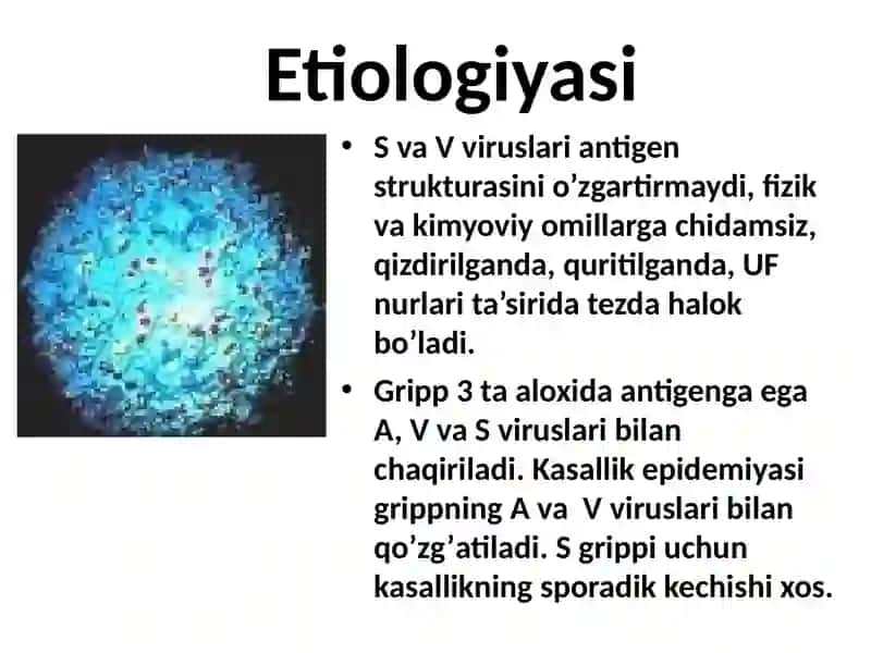 Gripp O'RVI 3