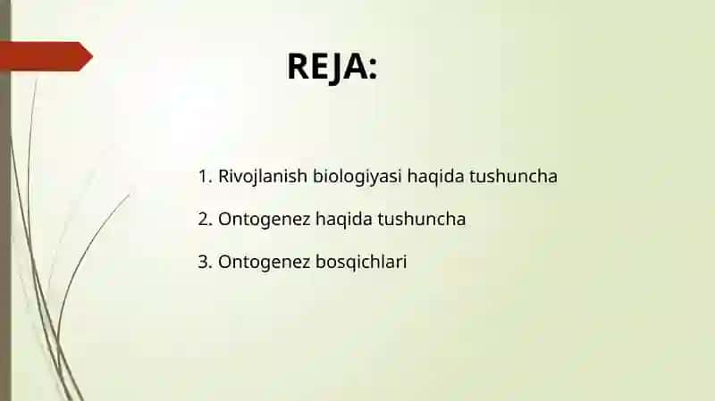 Biologik rivojlanish 3