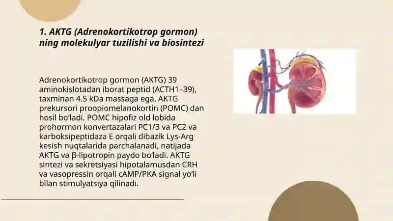 Adrenokortikotrop gormon (AKTG)ning 3
