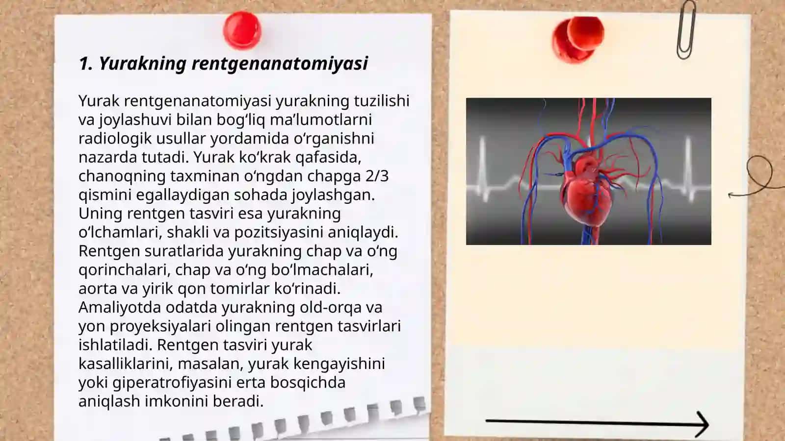 Yurak va qon tomirlar rentgenanatomiyasi 3