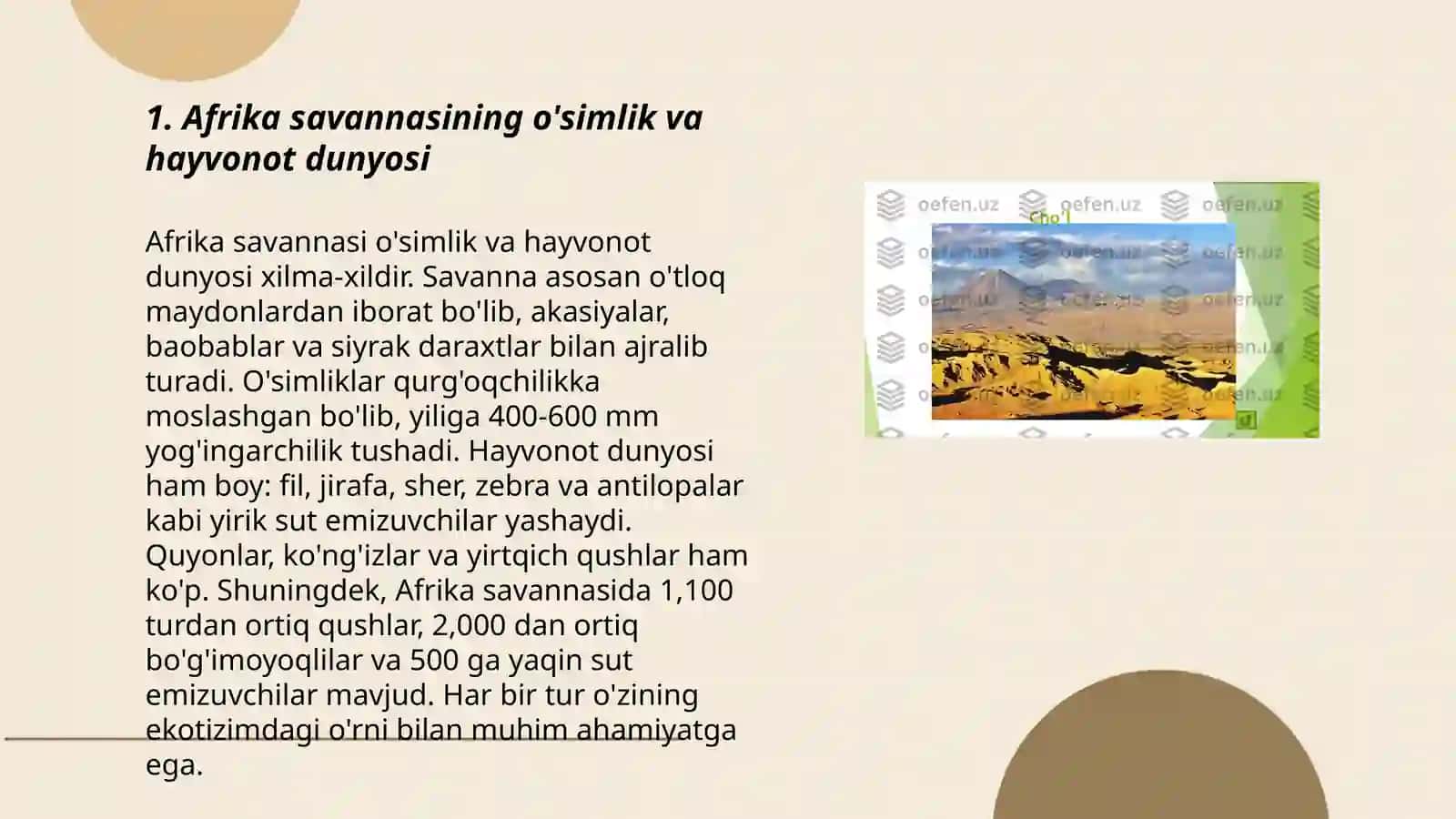 Afrika va Janubiy Amirikani tabiat mintaqalari o‘simligi va xayvonot dunyosi 3