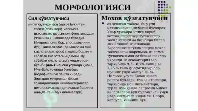 Moxov kasalligi 3