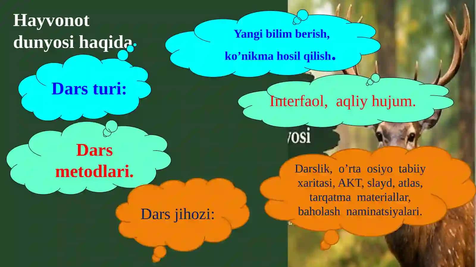 Hayvonotdunyosi 3