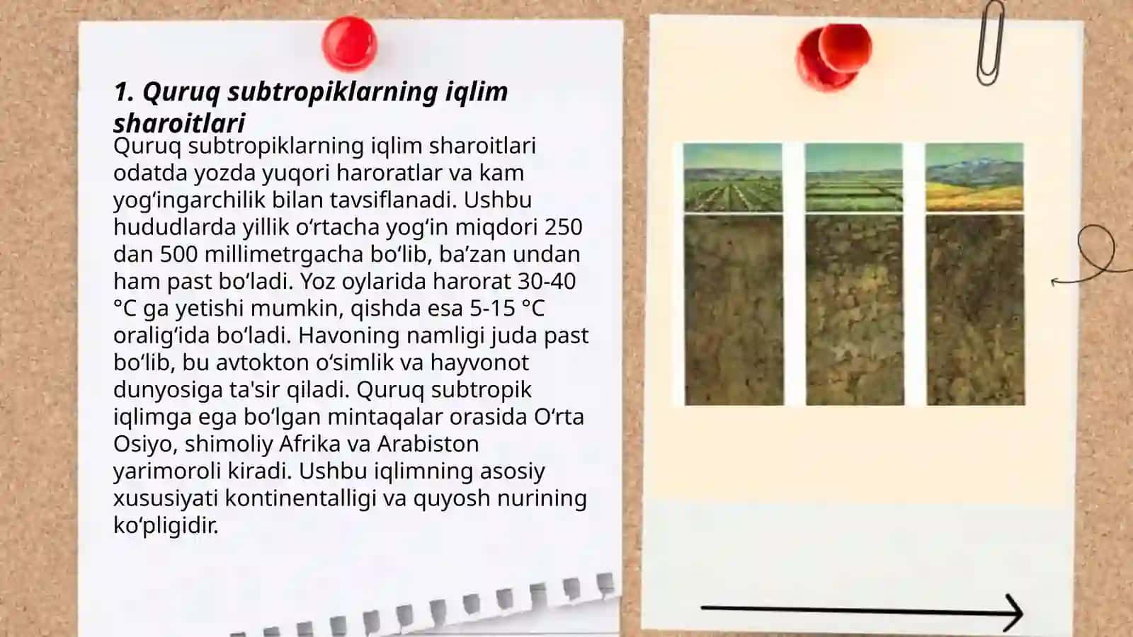 Quruq subtropiklarning togʻ oldi va boʻz tuproqlari.Choʻl mintaqasi tuproqlari 3